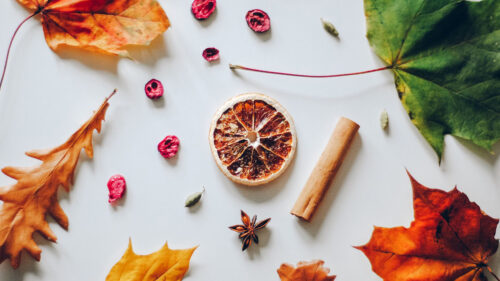 Lemon, Slice, Citrus Wallpapers Free Download