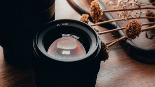 Lenses, Camera, Flowers Wallpapers Free Download