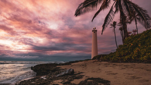 Lighthouse, Palm, Tree, Beach, Wallpapers Free Download