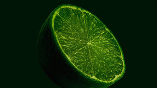 Lime, Fruit, Citrus, Wallpapers Free Download (2)