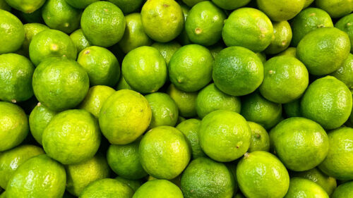 Lime, Fruit, Citrus, Wallpapers Free Download