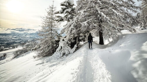 Man, Trees, Snow, Wallpapers Download For Mobile