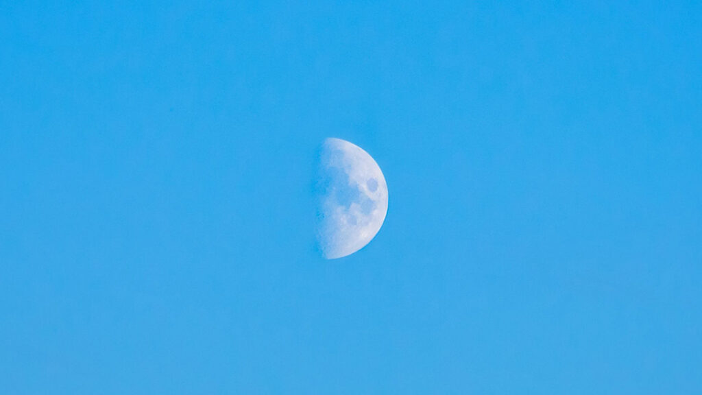 Next