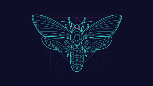 Moth, Pattern, Art, Wallpapers Download For Desktop