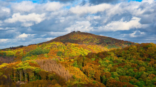 Mountain, Forest, Aerial, View, Wallpapers Download For Your Device