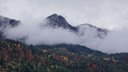 Mountain, Forest, Clouds, Wallpapers Download For Your Device