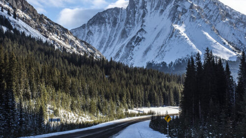 Mountain, Forest, Road, Wallpapers Download For Your Device