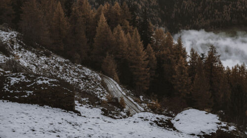 Mountain, Forest, Snow, Wallpapers Download For Your Device