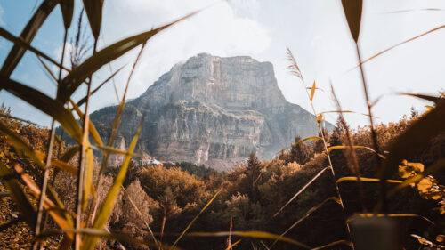 Mountain, Grass, Bushes, Wallpapers Download For Your Device