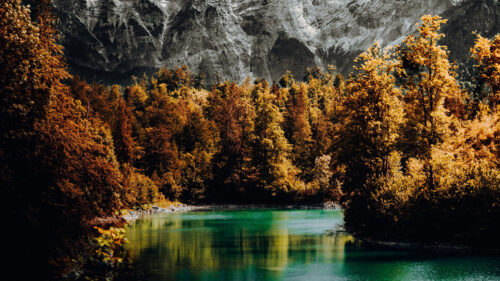 Mountain, Lake, Trees, Wallpapers Download For Your Device (2)