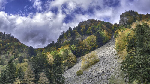 Mountain, Lake, Trees, Wallpapers Download For Your Device (3)