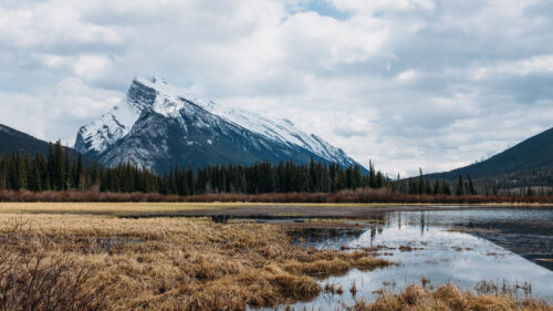 Mountain, Lake, Trees, Wallpapers Download For Your Device