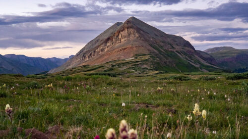 Mountain, Lawn, Flowers, Wallpapers Download For Your Device