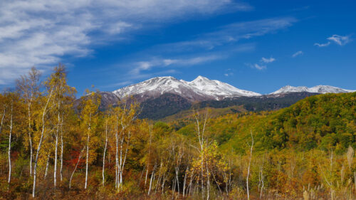 Mountain, Peak, Forest, Wallpapers Download For Your Device