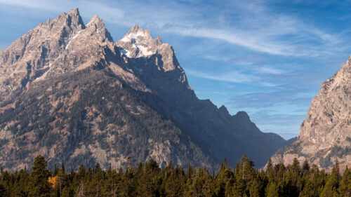 Mountain, Peak, Trees, Wallpapers Download For Your Device