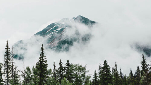 Mountain, Peak, Trees, Wallpapers Download For Your Device (2)