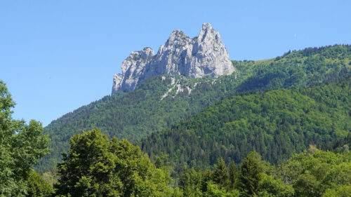 Mountain, Rocks, Trees Wallpapers Download For Your Device (3)