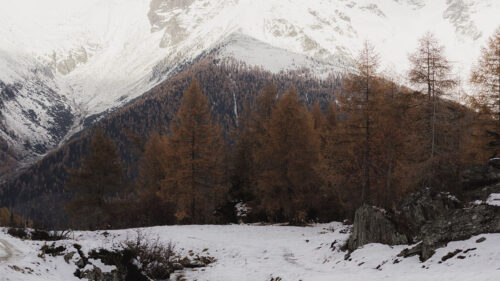 Mountain, Snow, Trees, Wallpapers Download For Your Device (2)