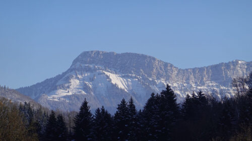 Mountain, Snow, Trees Wallpapers Download For Your Device