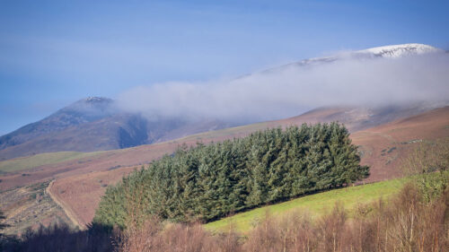 Mountain, Trees, Clouds, Wallpapers Download For Your Device