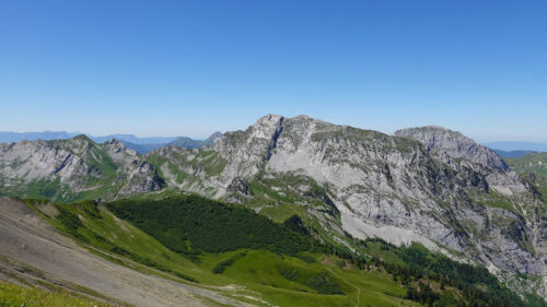 Mountain, Trees, Grass Wallpapers Download For Your Device