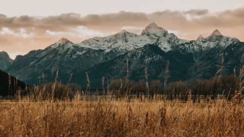 Mountains, Field, Grass Wallpapers Download For Your Device