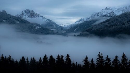 Mountains, Fog, Trees Wallpapers Download For Your Device (2)