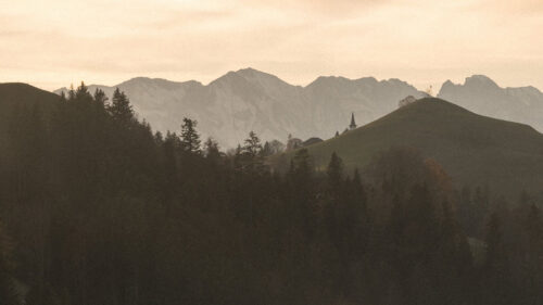 Mountains, Fog, Trees Wallpapers Download For Your Device