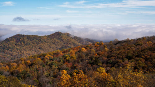 Mountains, Forest, Clouds Wallpapers Download For Your Device