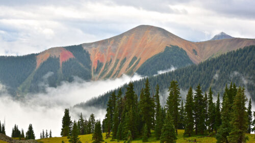 Mountains, Forest, Spruce Wallpapers Download For Your Device