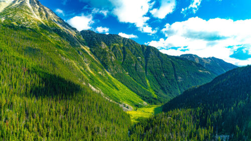 Mountains, Forest, Valley Wallpapers Download For Your Device