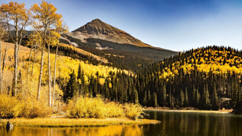 Mountains, Lake, Trees, Wallpapers Download For Your Device