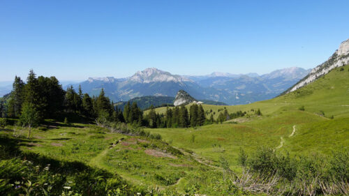 Mountains, Lawn, Trees Wallpapers Download For Your Device