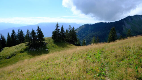 Mountains, Path, Trees, Wallpapers Download For Your Device
