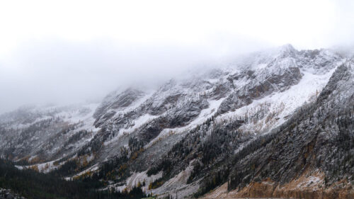 Mountains, Road, Forest, Wallpapers Download For Your Device