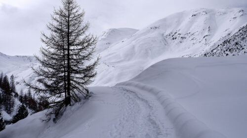Mountains, Snow, Path Wallpapers Download