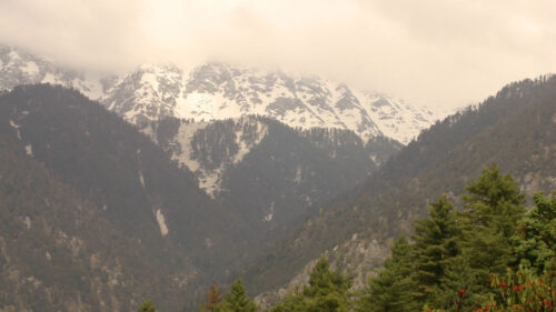 Mountains, Snow, Trees Wallpapers Download