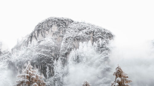 Mountains, Spruce, Snow Wallpapers Download