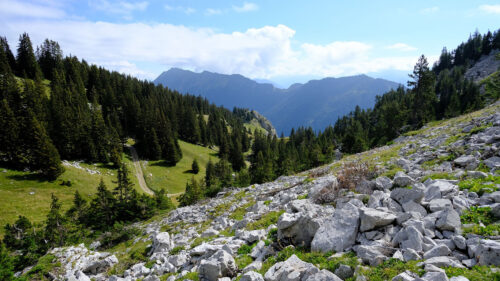 Mountains, Stones, Trees Wallpapers Free Download
