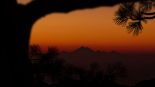 Mountains, Sunset, Branch Wallpapers Free Download