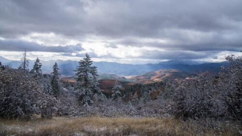 Mountains, Trees, Bushes Wallpapers Free Download