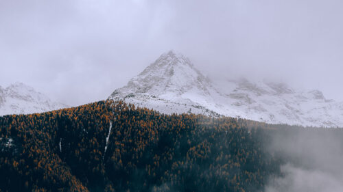 Mountains, Trees, Clouds Wallpapers Free Download