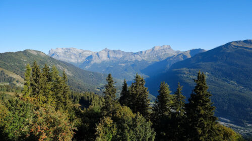 Mountains, Trees, Forest Wallpapers Free Download