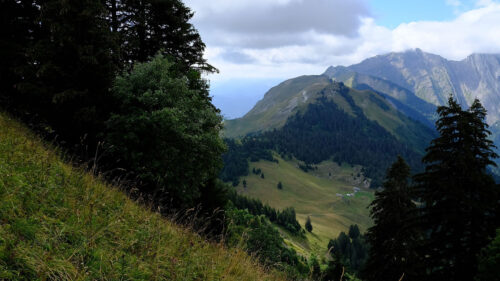 Mountains, Trees, Greenery Wallpapers Free Download