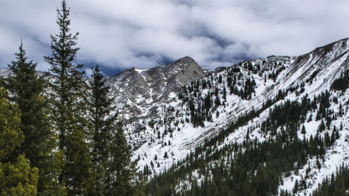 Mountains, Trees, Snow Wallpapers Free Download (2)