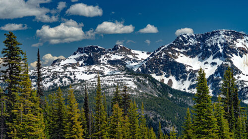 Mountains, Trees, Snow Wallpapers Free Download