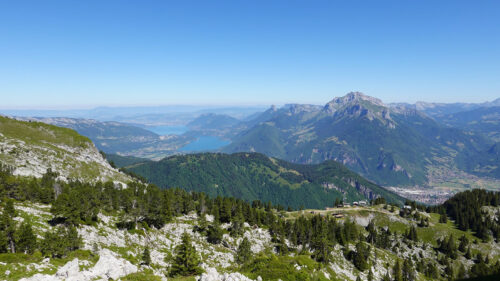 Mountains, Trees, Stones Wallpapers Free Download