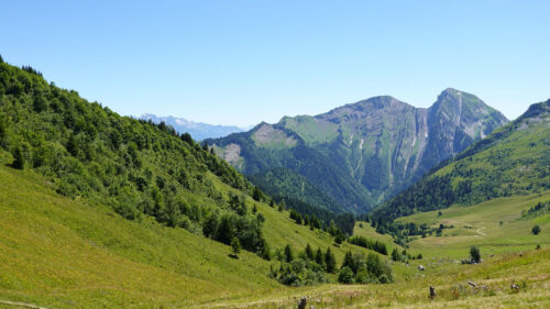 Mountains, Valley, Trees Wallpapers Free Download (2)