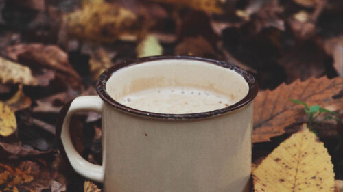 Mug, Coffee, Leaves, Wallpapers Free Download