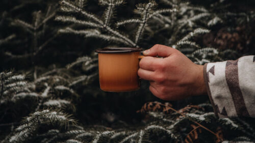 Mug, Hand, Spruce, Wallpapers Free Download
